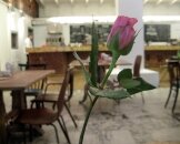 Идеальная гурманизация: Мария Кузьмина о кафе в «Гоголь-центре»